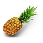 PINEAPPLES PER EA